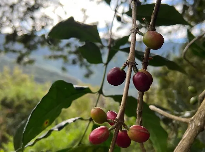 Frühstückspension Refugio De Mery Lucmabamba Sahuayaco